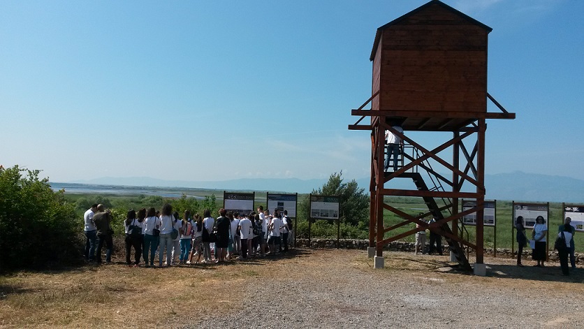 Posmatranje ptica na Skadarskom jezeru