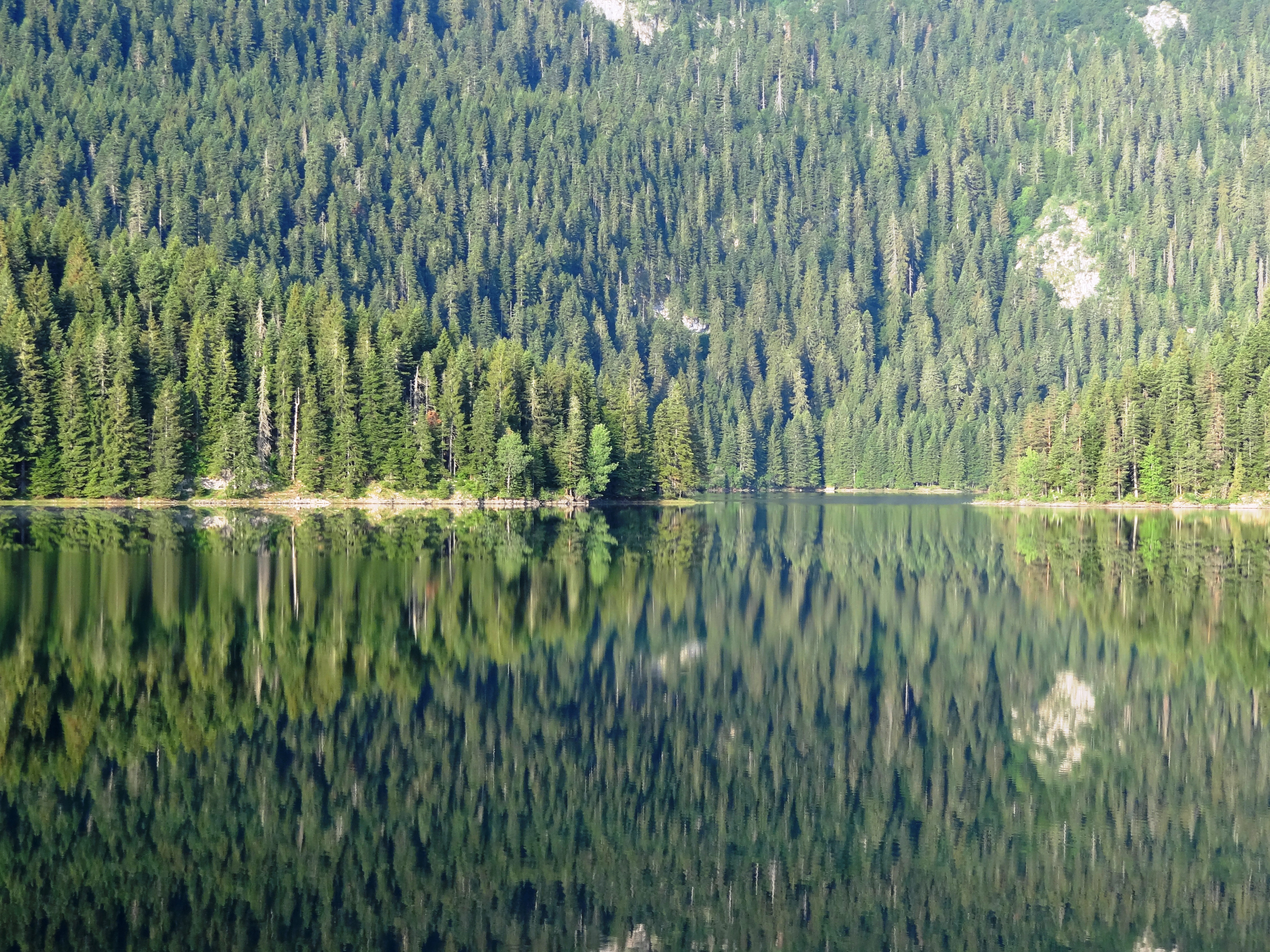 Vožnja čamcem i kajakarenje po Crnom jezeru